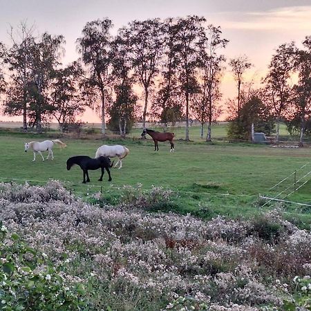 Js Feriendomizile Haus Abendrot Villa Hasselfelde Bagian luar foto